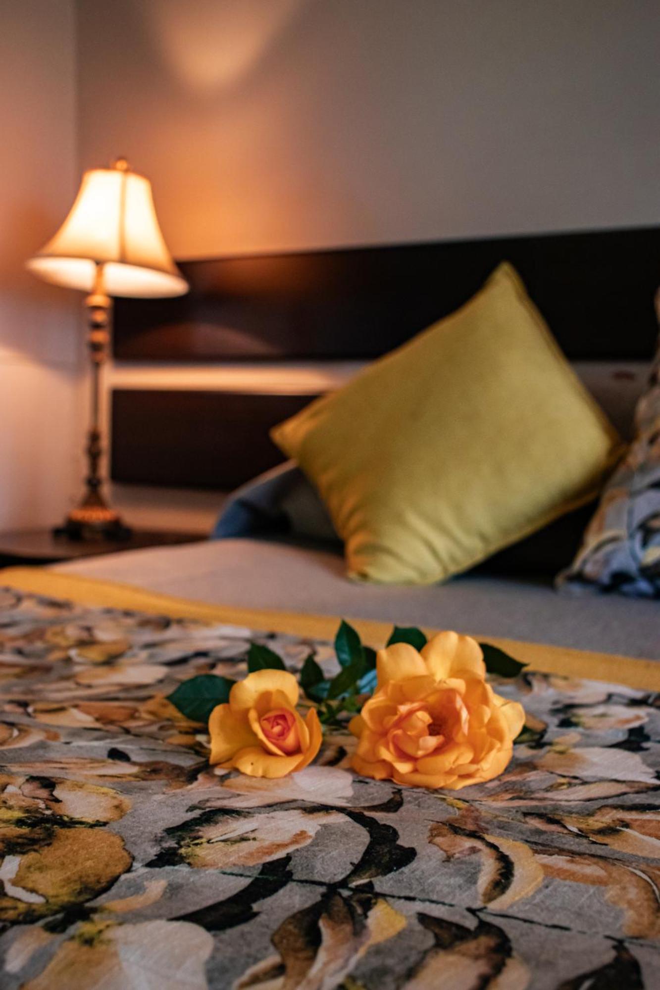 Drakensview Self Catering *